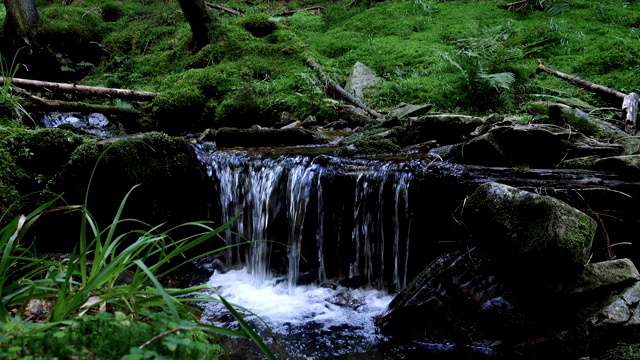 美丽的山溪在绿树成荫的森林里流过满是苔藓的巨石视频素材