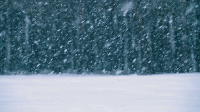 冬天下雪的松林和下雪的圣诞树。慢动作视频素材