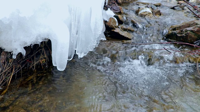 雪融化视频素材