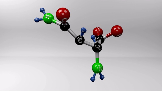 天冬酰胺分子。视频素材