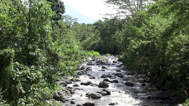 热带雨后的深山大河，岩石河岸上生长着茂密的异国森林，水流湍急，令人惊叹的河景。印尼巴厘岛视频素材