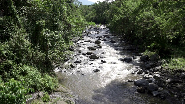 热带雨后的深山大河，岩石河岸上生长着茂密的异国森林，水流湍急，令人惊叹的河景。印尼巴厘岛视频素材