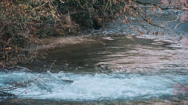 白山溪水下落视频素材