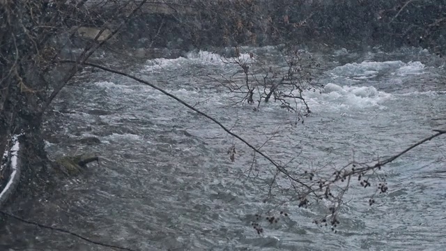 白山溪水下落视频素材