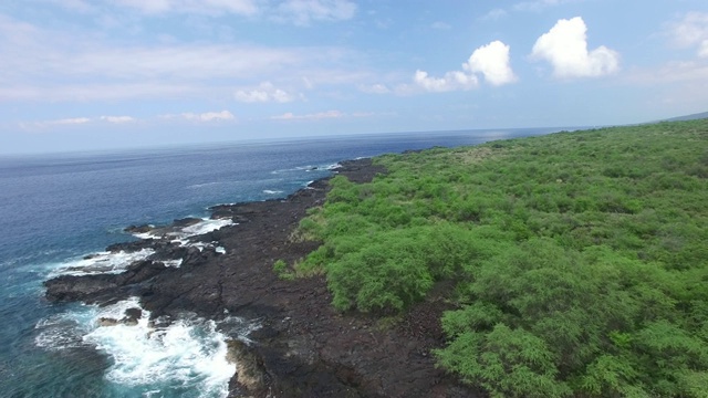 航拍:夏威夷海洋，森林和岩石覆盖海岸视频素材