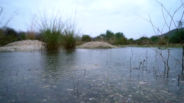 雨视频素材