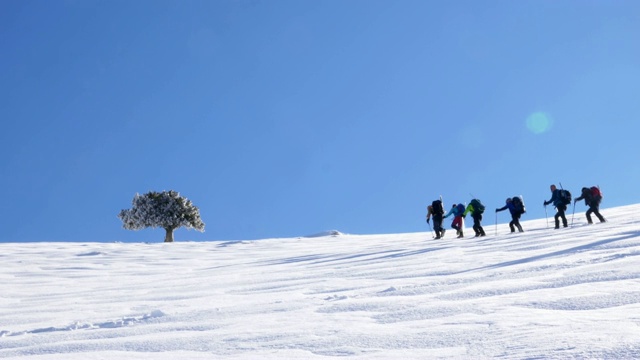 一群登山者正在山顶上行走视频素材