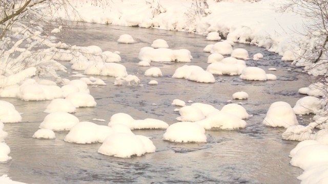 森林里湖面上的一堆雪视频素材