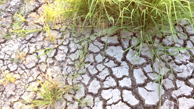 干旱地区。种植缺水地区。视频素材