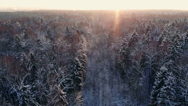 冬季森林的空中飞行。飞过白雪皑皑的森林，夕阳在白色的树木上落下橙色的余晖视频素材