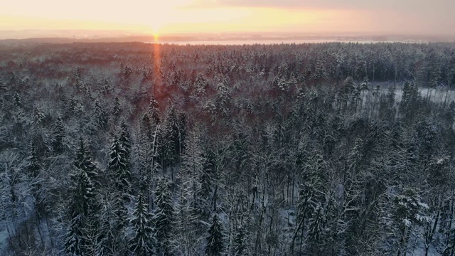 冬季森林的空中飞行。飞过白雪皑皑的森林，夕阳在白色的树木上落下橙色的余晖视频素材