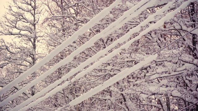 柱子上的电线上覆盖着厚厚的白雪视频素材