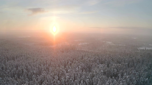 冬天的时候，森林里下着雪视频素材