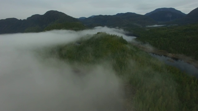 航拍:浓雾笼罩在绿色森林之上，背景是湖和山视频素材