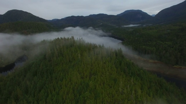 航拍:阴天，浓雾覆盖在湖边和山上的绿色森林之上视频素材