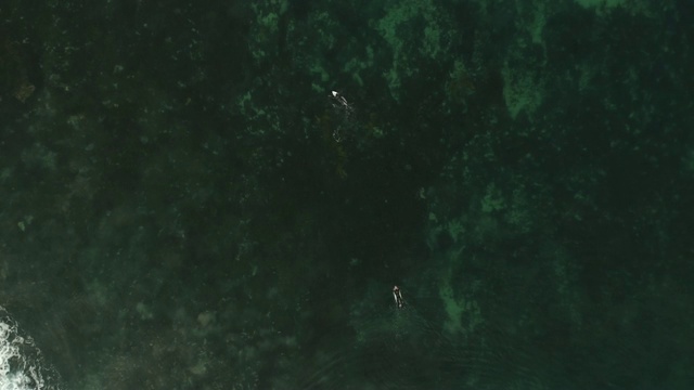 海上冲浪者的鸟瞰图视频素材