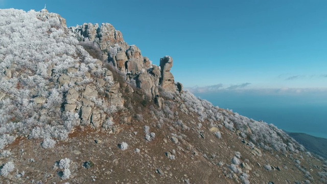 在被巨大的巨石和白雪皑皑的针叶树覆盖的山顶上的美丽景色，映衬着蓝天。射杀。山的冬景视频素材