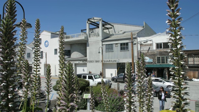 蒙特雷湾水族馆滑动拍摄罐头厂排，蒙特雷半岛，加利福尼亚州，美国，北美视频素材