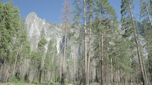 穿越约塞米蒂山谷，约塞米蒂国家公园，联合国教科文组织世界遗产，加利福尼亚州，美国，北美视频素材