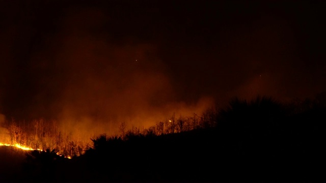 野火视频素材