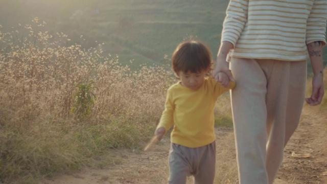 小男孩牵着妈妈的手在公园里散步。视频素材