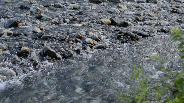 特写清澈的水流过岩石视频素材