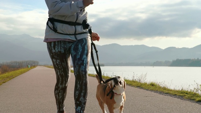 年轻女子和她的小猎犬慢跑视频素材