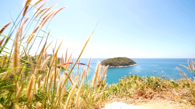泰国普吉岛的自然海滩视频素材