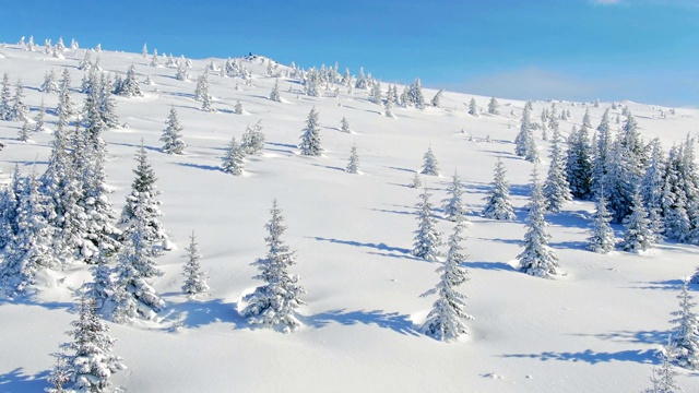 飞过冬天的雪山松林。白雪覆盖的高山鸟瞰图。视频素材