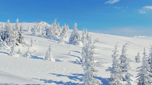 飞过冬天的雪山松林。白雪覆盖的高山鸟瞰图。视频素材