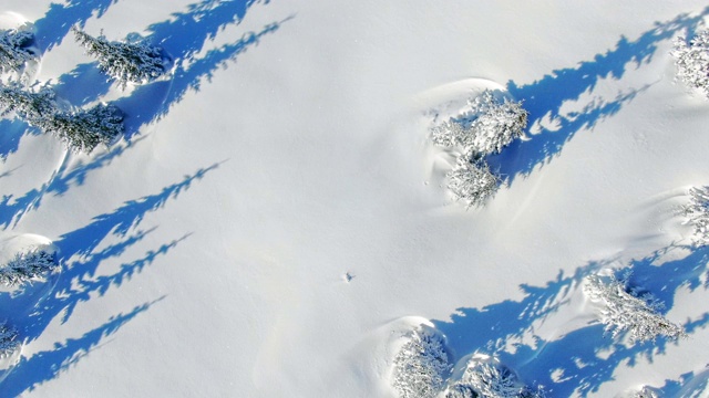 飞过冬天的雪山松林。白雪覆盖的高山鸟瞰图。视频素材