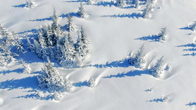 飞过冬天的雪山松林。白雪覆盖的高山鸟瞰图。视频素材