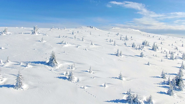 飞过冬天的雪山松林。白雪覆盖的高山鸟瞰图。视频素材