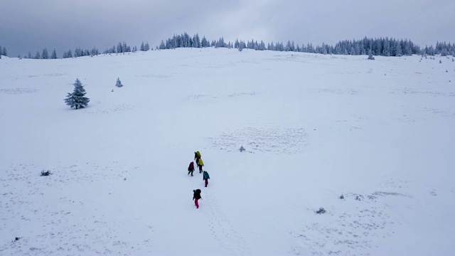 鸟瞰一群游客登上雪坡视频素材