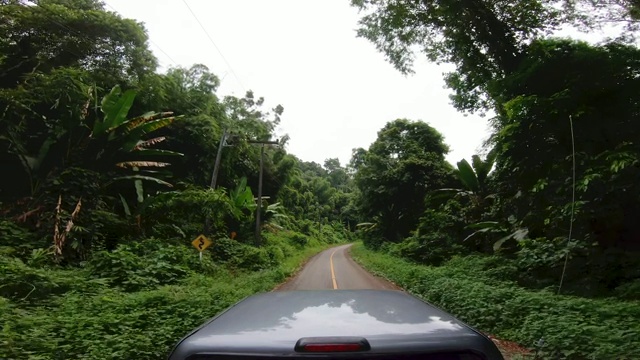 开车时看路边的自然树景。公路旅行度假视频素材