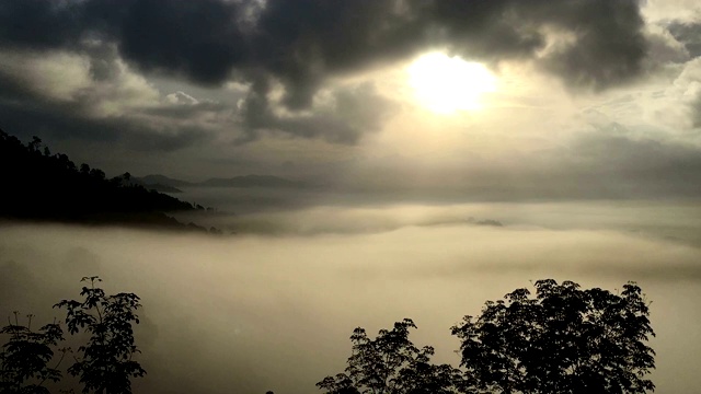 时间流逝——云层正在森林地区上空移动视频素材