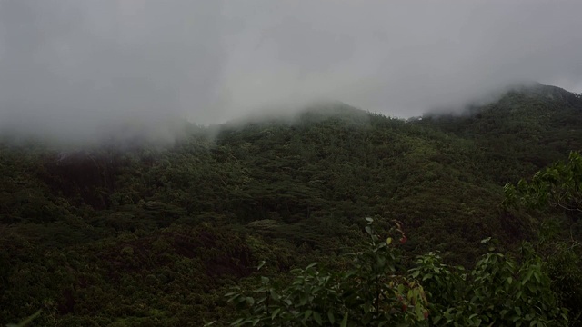 岛上的青山在阴雨绵绵的天气里，山顶上隐藏着白云。视频素材