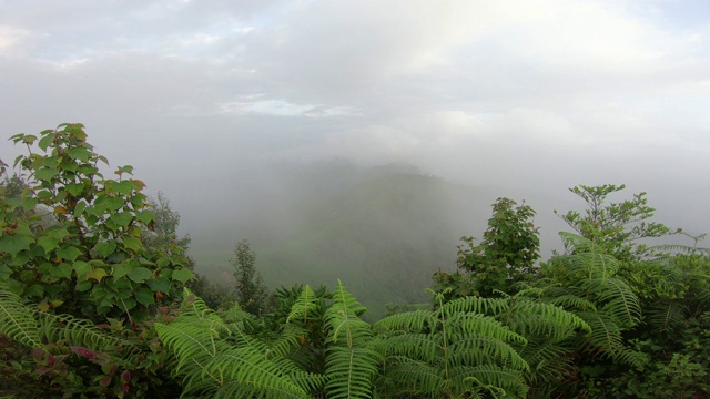 风吹雾，傍晚露出山景视频素材