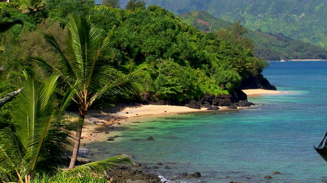 隐居海滩,考艾岛视频素材