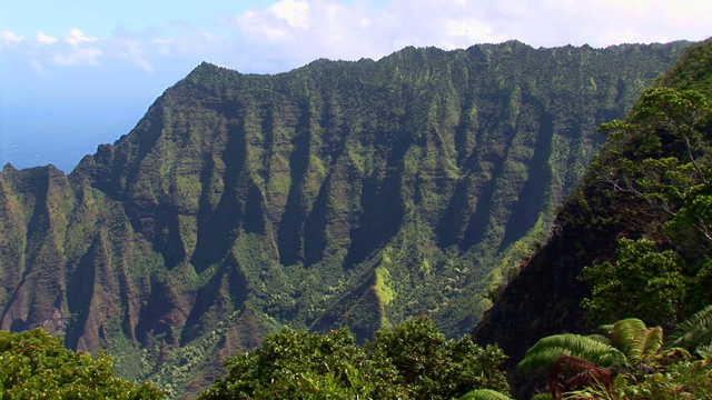 夏威夷考艾岛，卡拉劳山谷视频素材