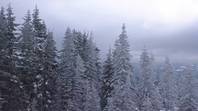 一群游客在冬天的山上飞过视频素材