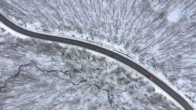 汽车行驶在冰雪覆盖的森林里的冬季乡村道路上，无人机拍摄4k航拍画面视频素材