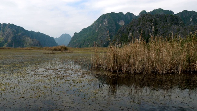 美丽的喀斯特景观和稻田景观视频素材