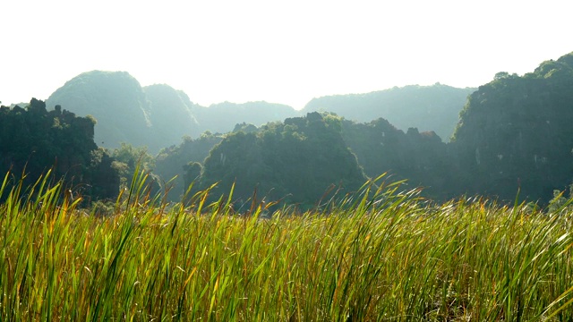 美丽的喀斯特景观全景视频素材