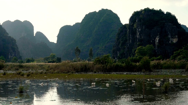 美丽的喀斯特景观和稻田景观视频素材