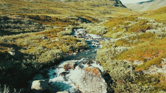 挪威高原地区的小河流景观视频素材