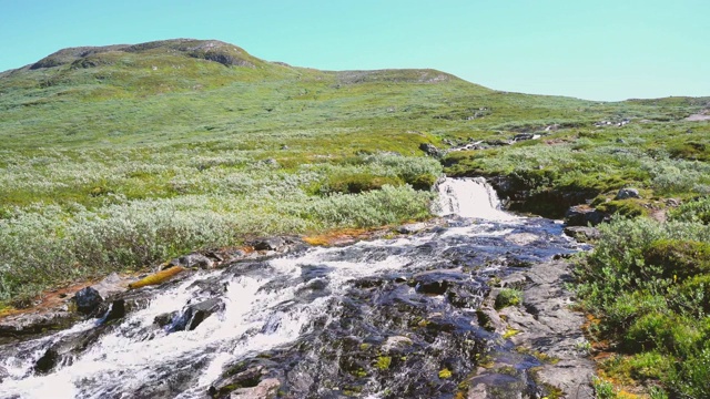 挪威高原地区的小河流景观视频素材