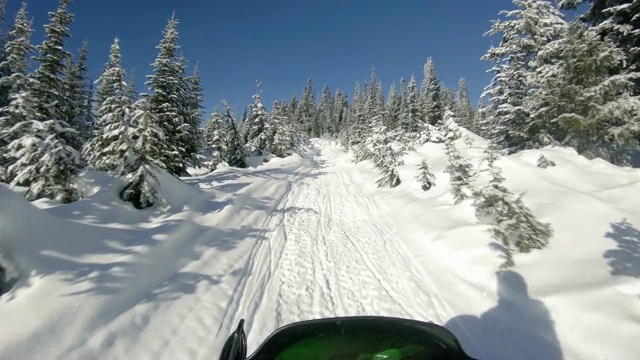 蓝天雪地车视角在雪域森林树木上骑上坡视频素材