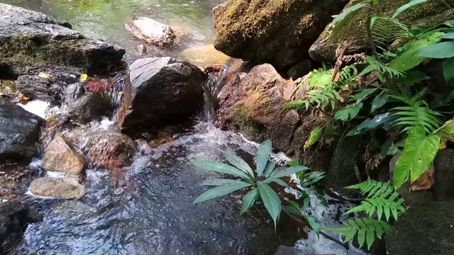 石头与流水视频素材