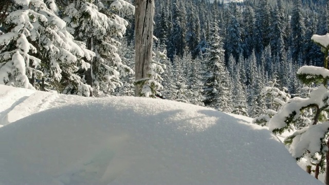 在阳光明媚的冬山雪上快速驾驶雪车视频素材